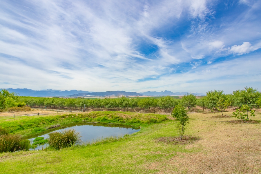 4 Bedroom Property for Sale in Paarl Rural Western Cape